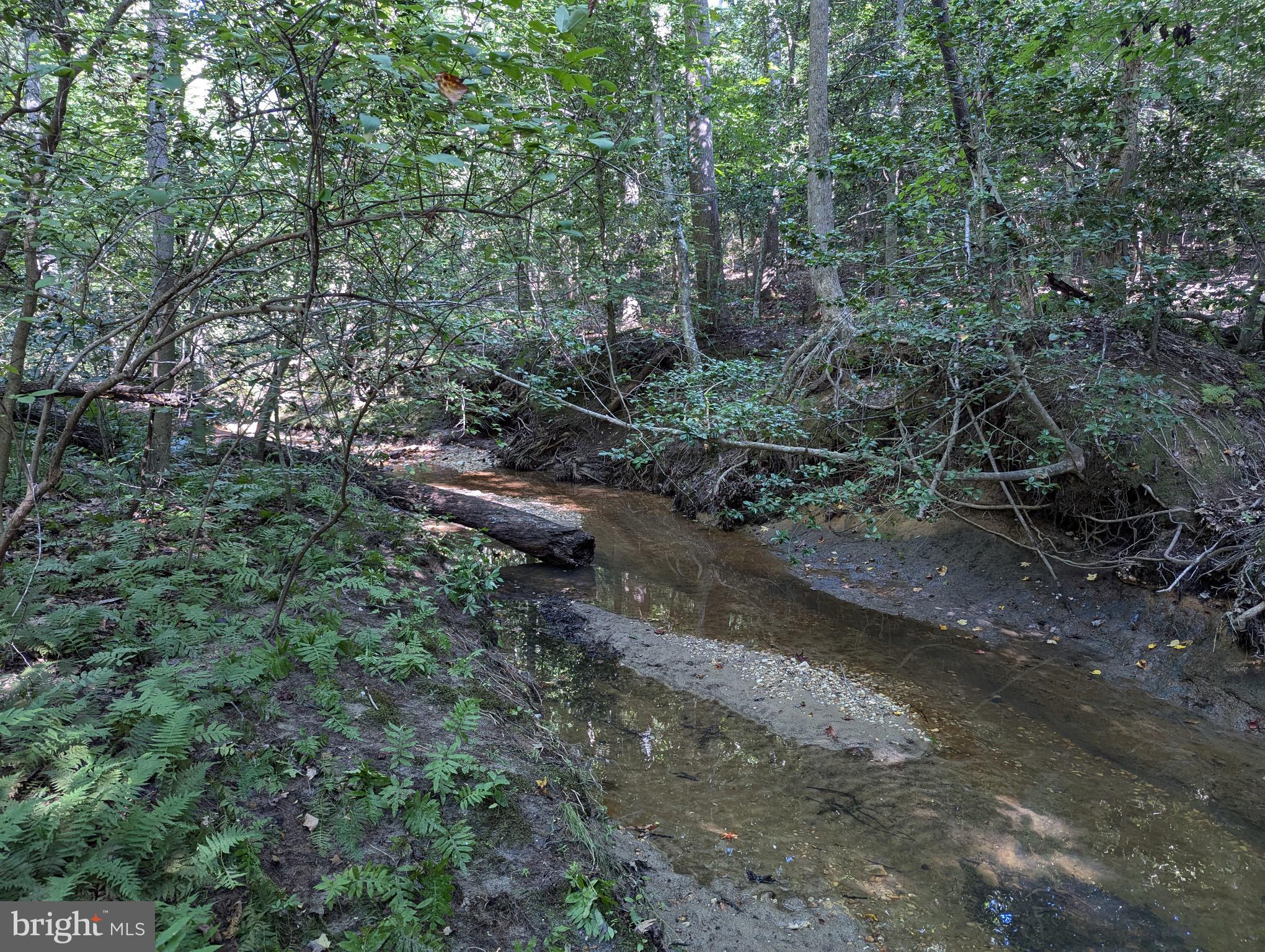 RIDGE POINTE - Residential