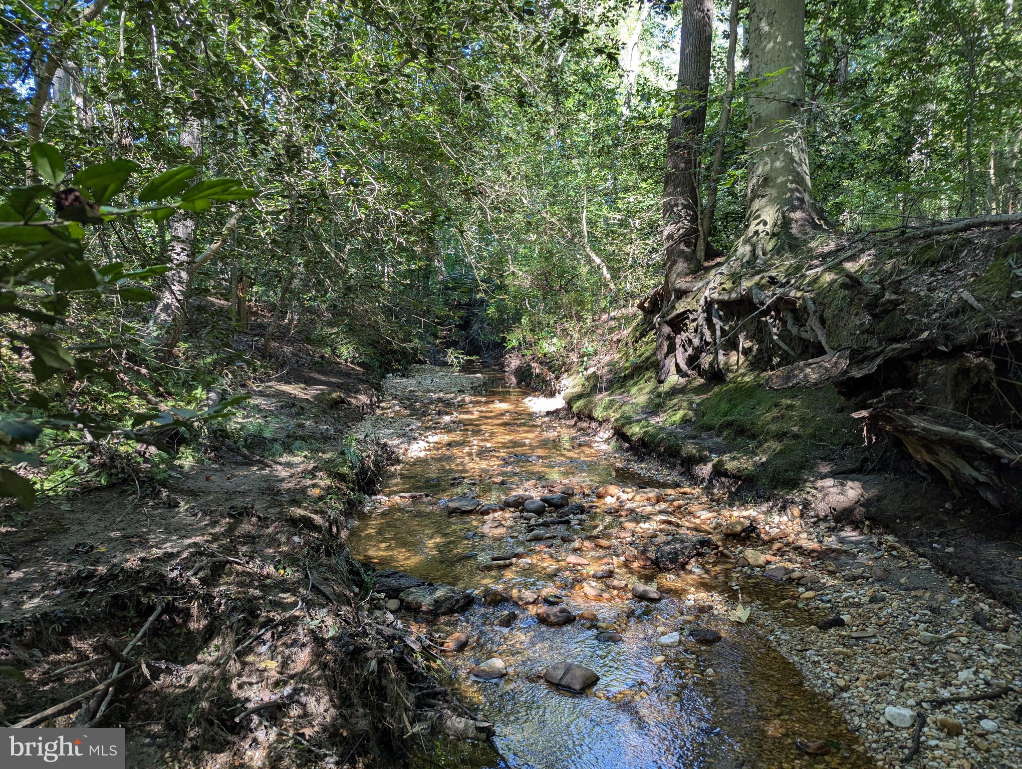RIDGE POINTE - Residential
