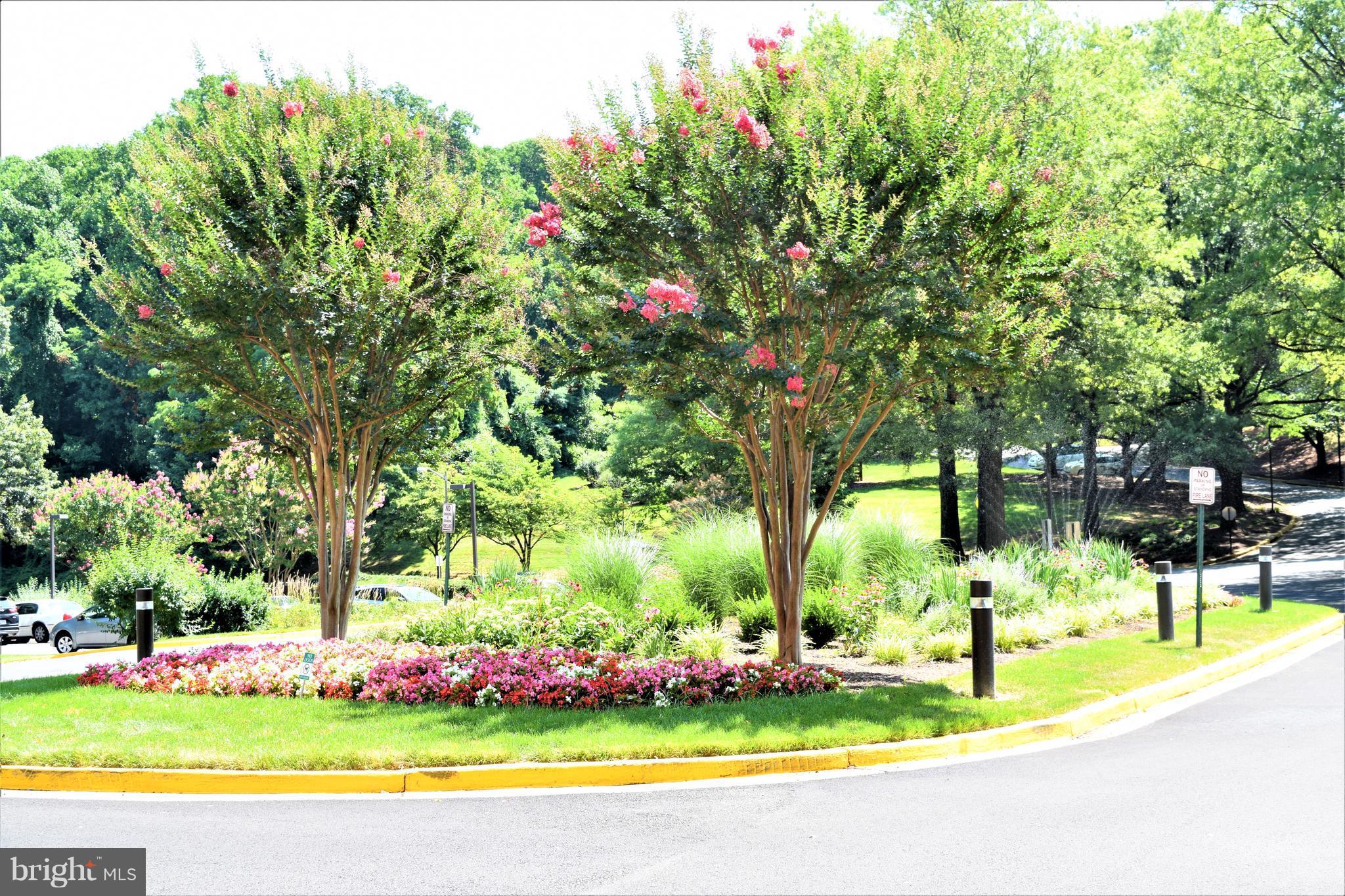 IDYLWOOD TOWERS - Residential