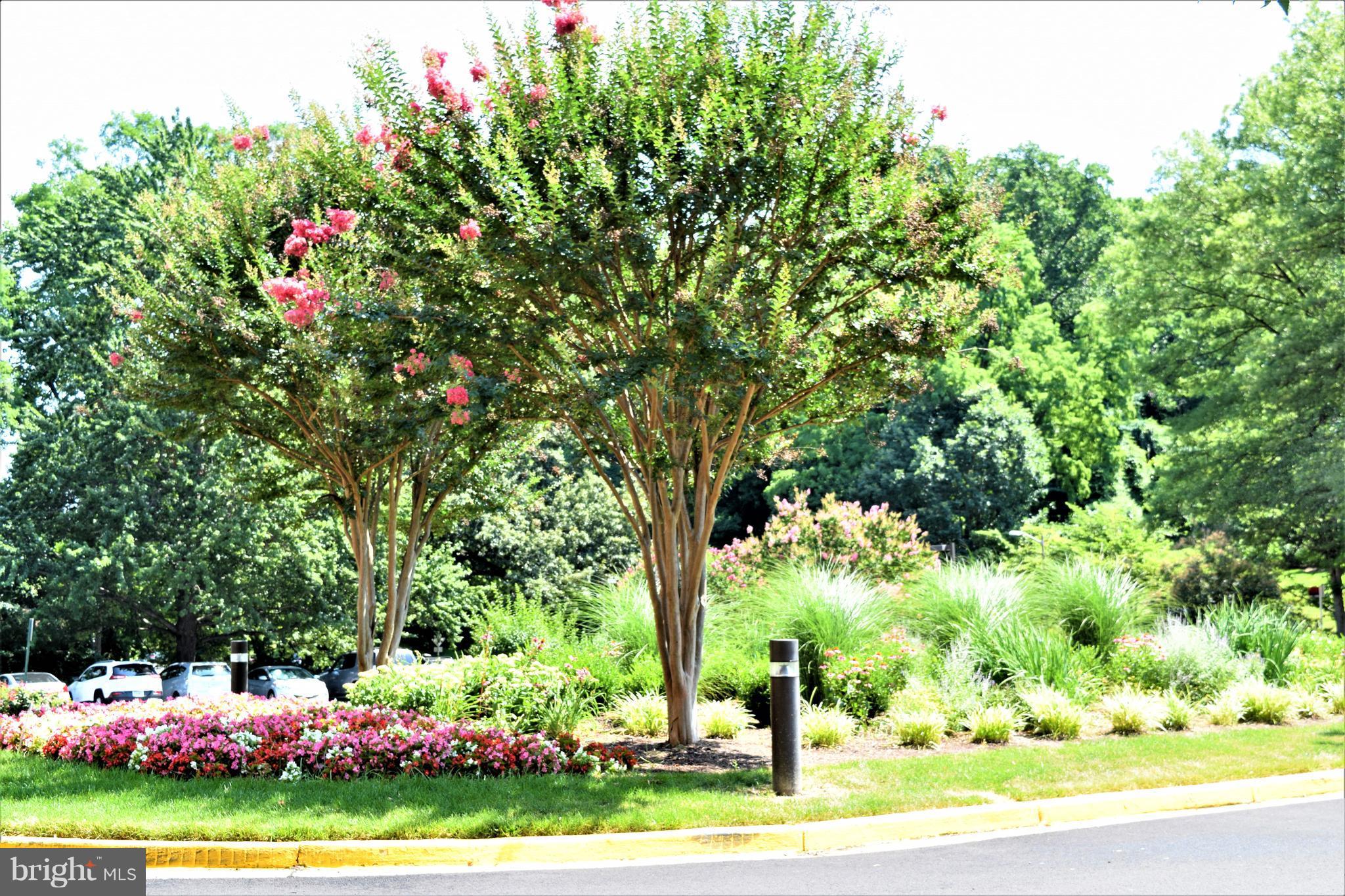IDYLWOOD TOWERS - Residential