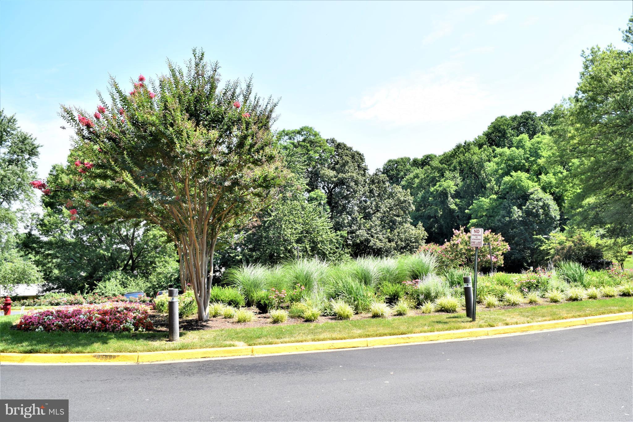IDYLWOOD TOWERS - Residential