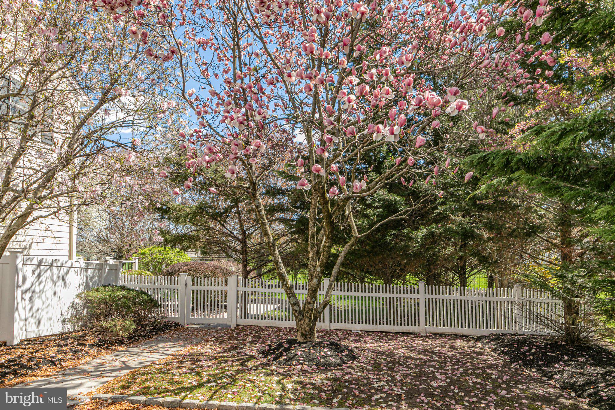 497 CHRISTOPHER DRIVE