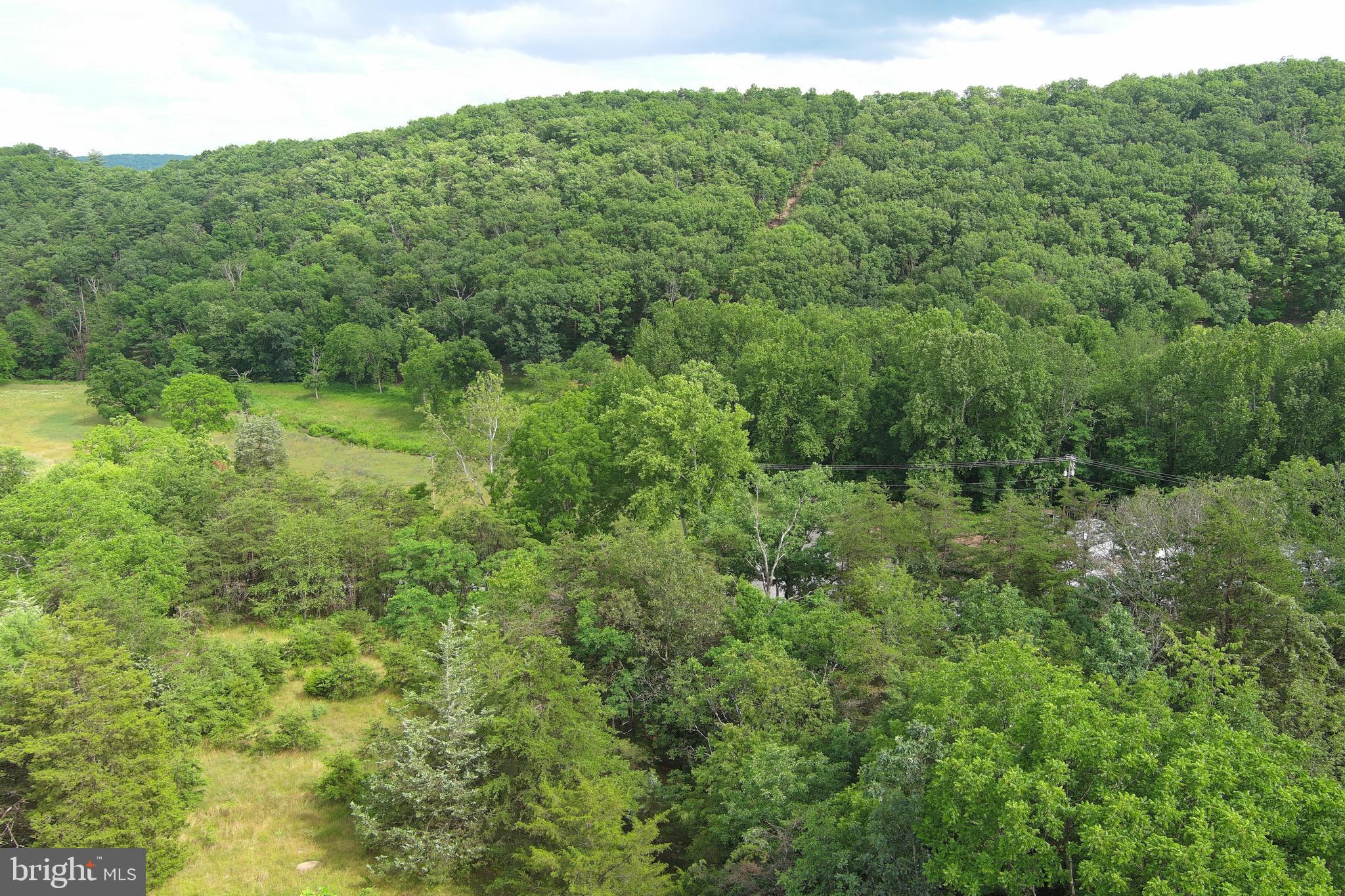 FRENCHBURG ESTATES - Land