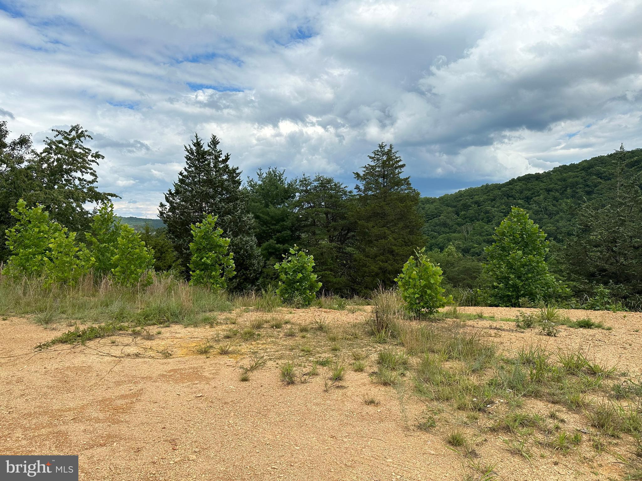 FRENCHBURG ESTATES - Land