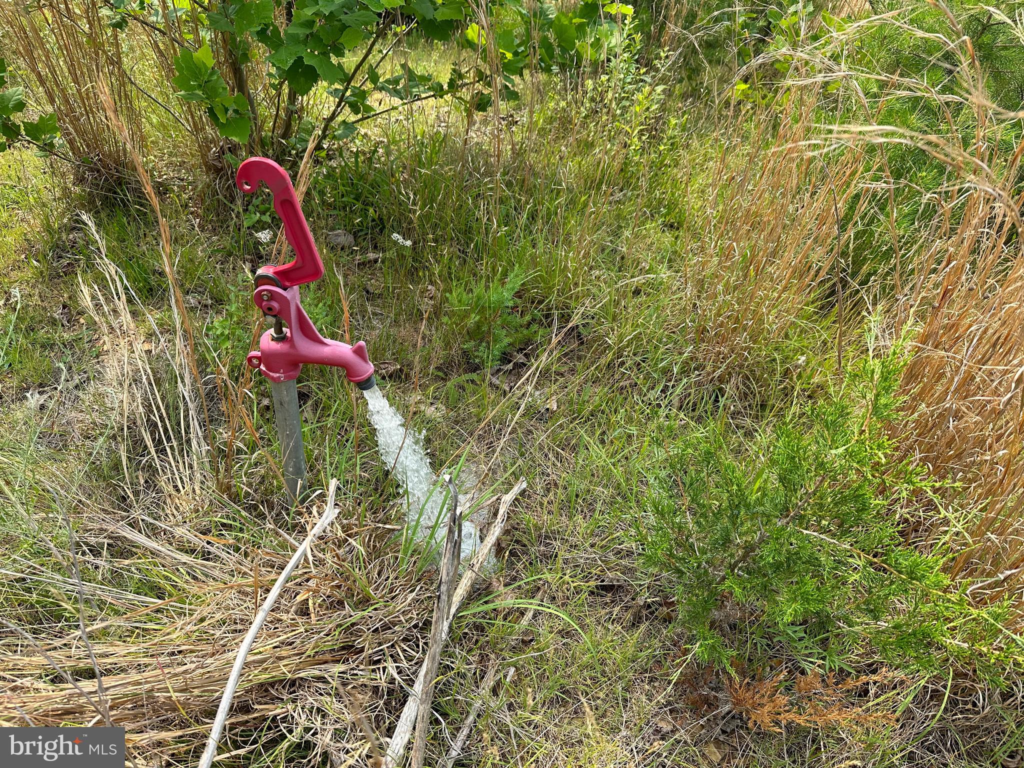 FRENCHBURG ESTATES - Land