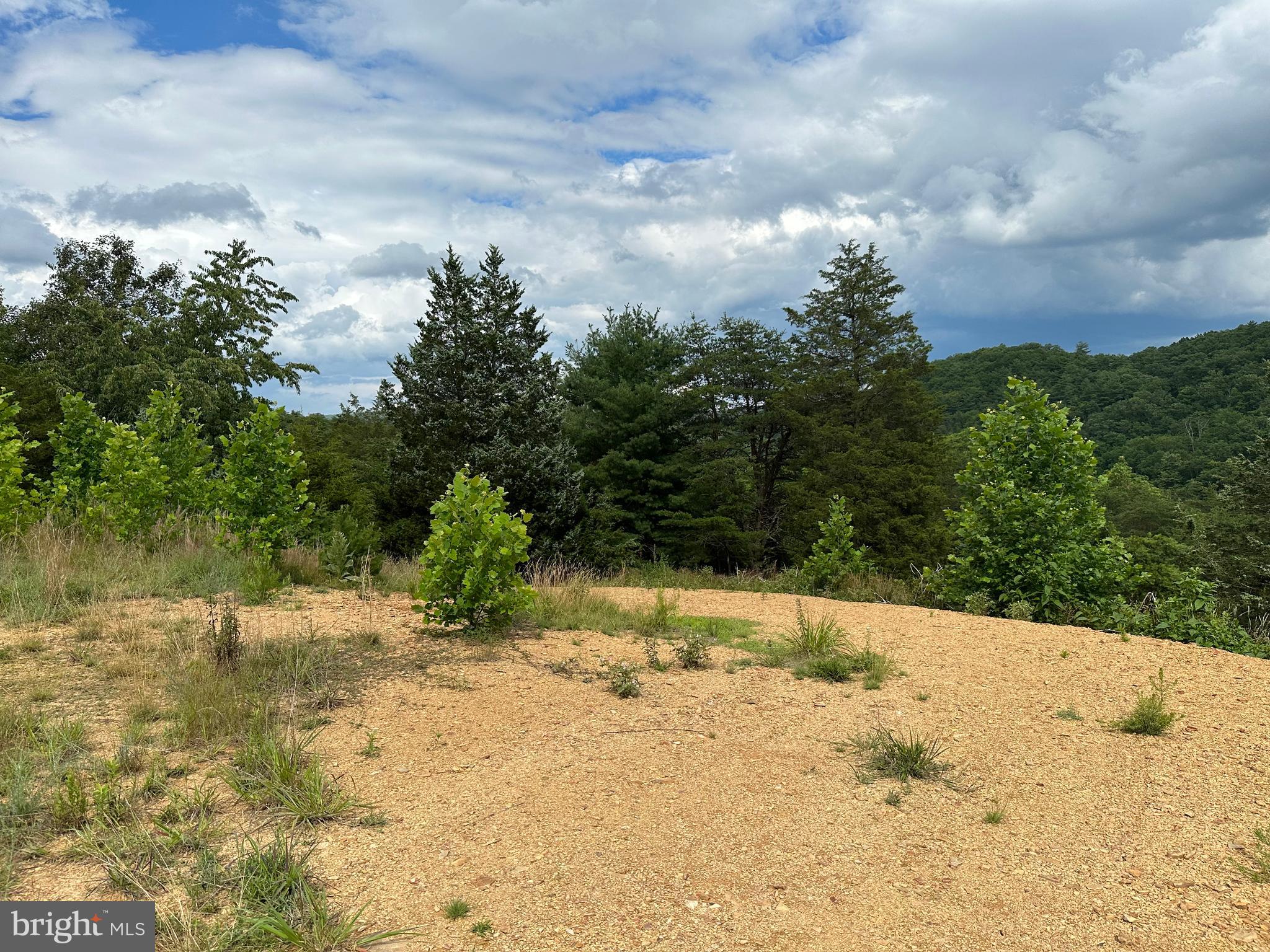 FRENCHBURG ESTATES - Land