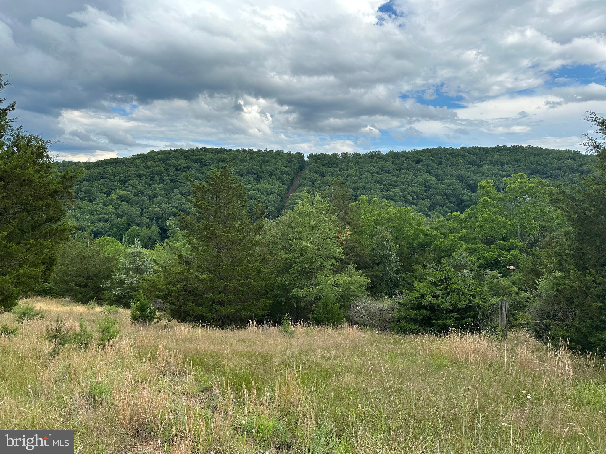 FRENCHBURG ESTATES - Land