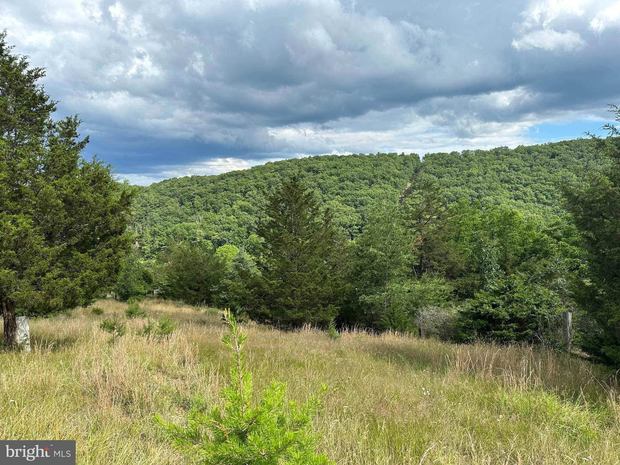 FRENCHBURG ESTATES - Land