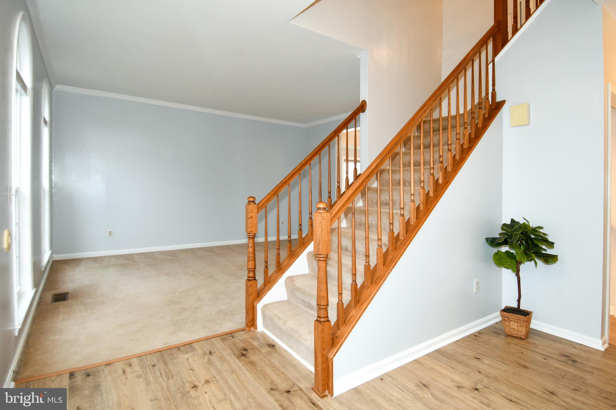 14770 COURTLANDT HEIGHTS ROAD