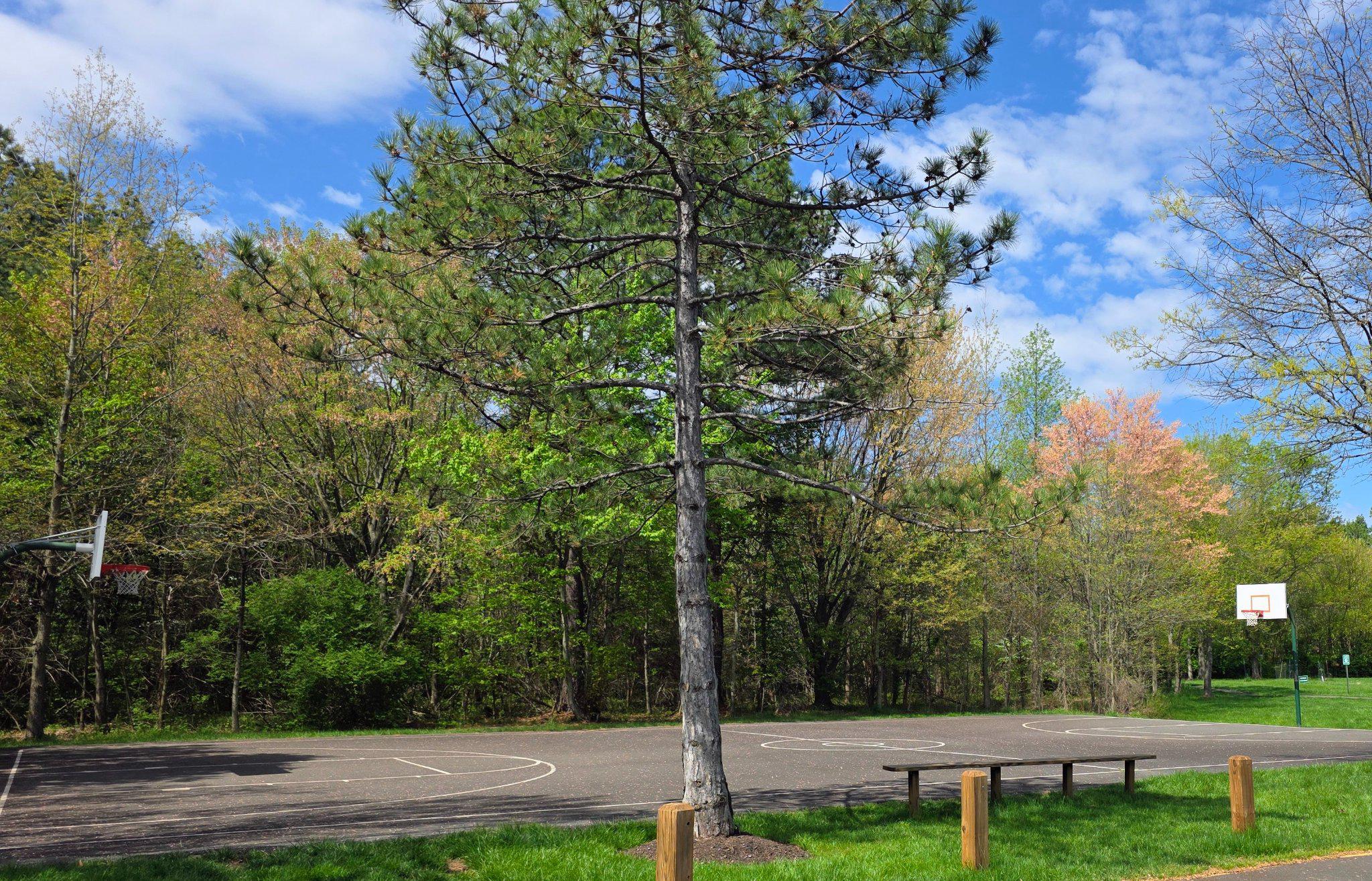 FRANKLIN FARM - Residential