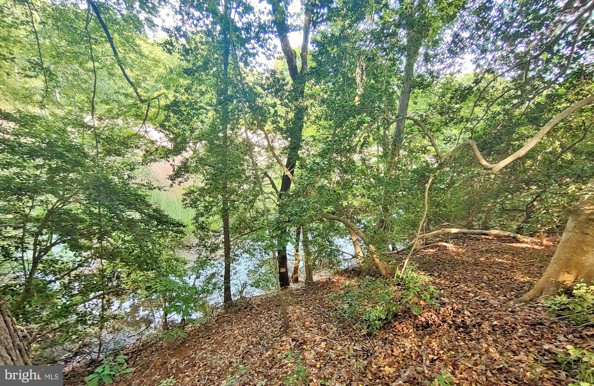 PILGRIM MANOR - Residential