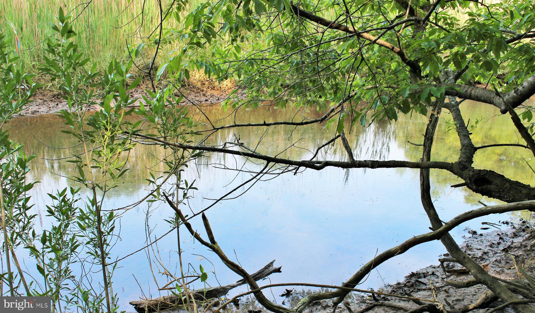 PILGRIM MANOR - Residential