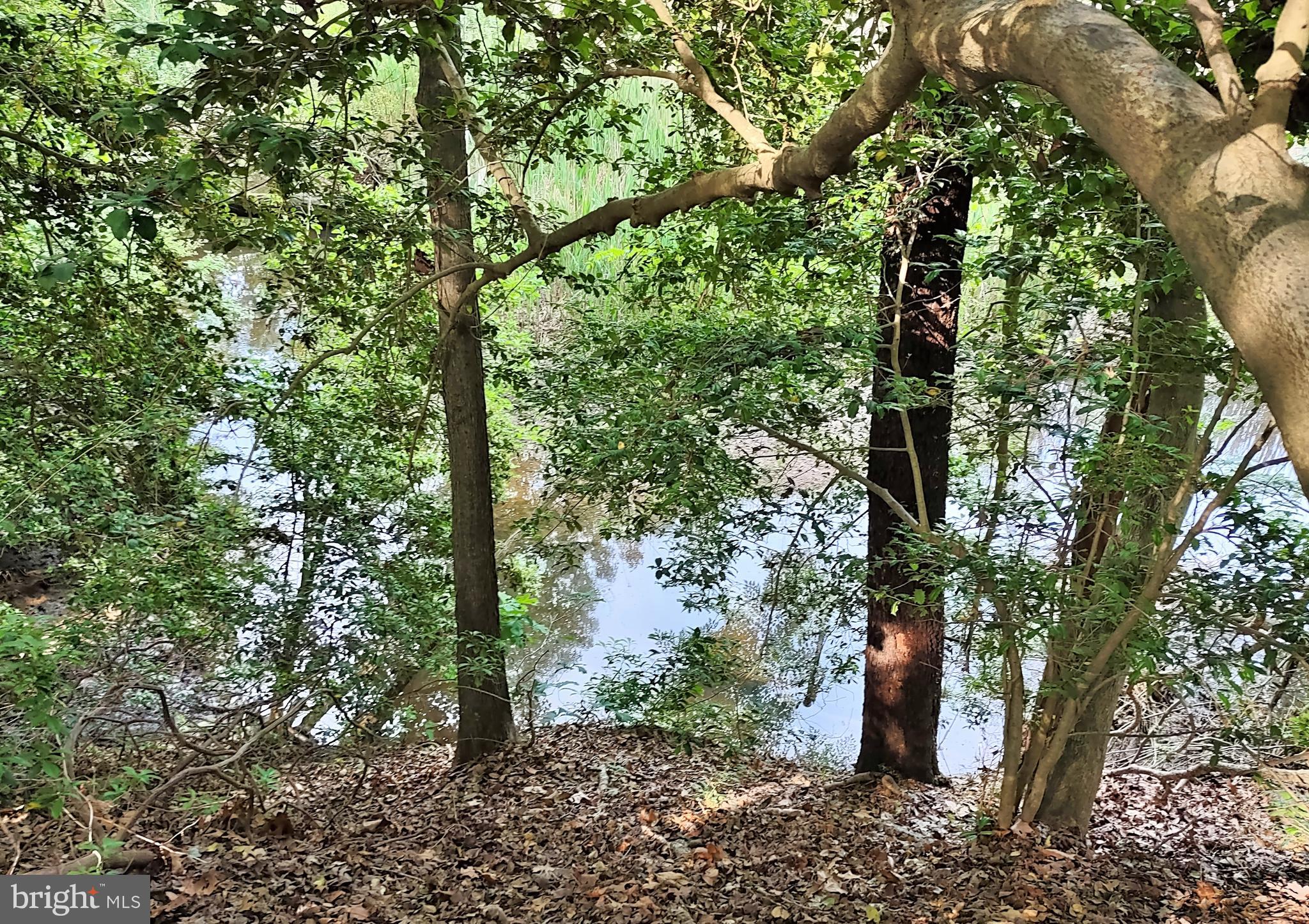 PILGRIM MANOR - Residential