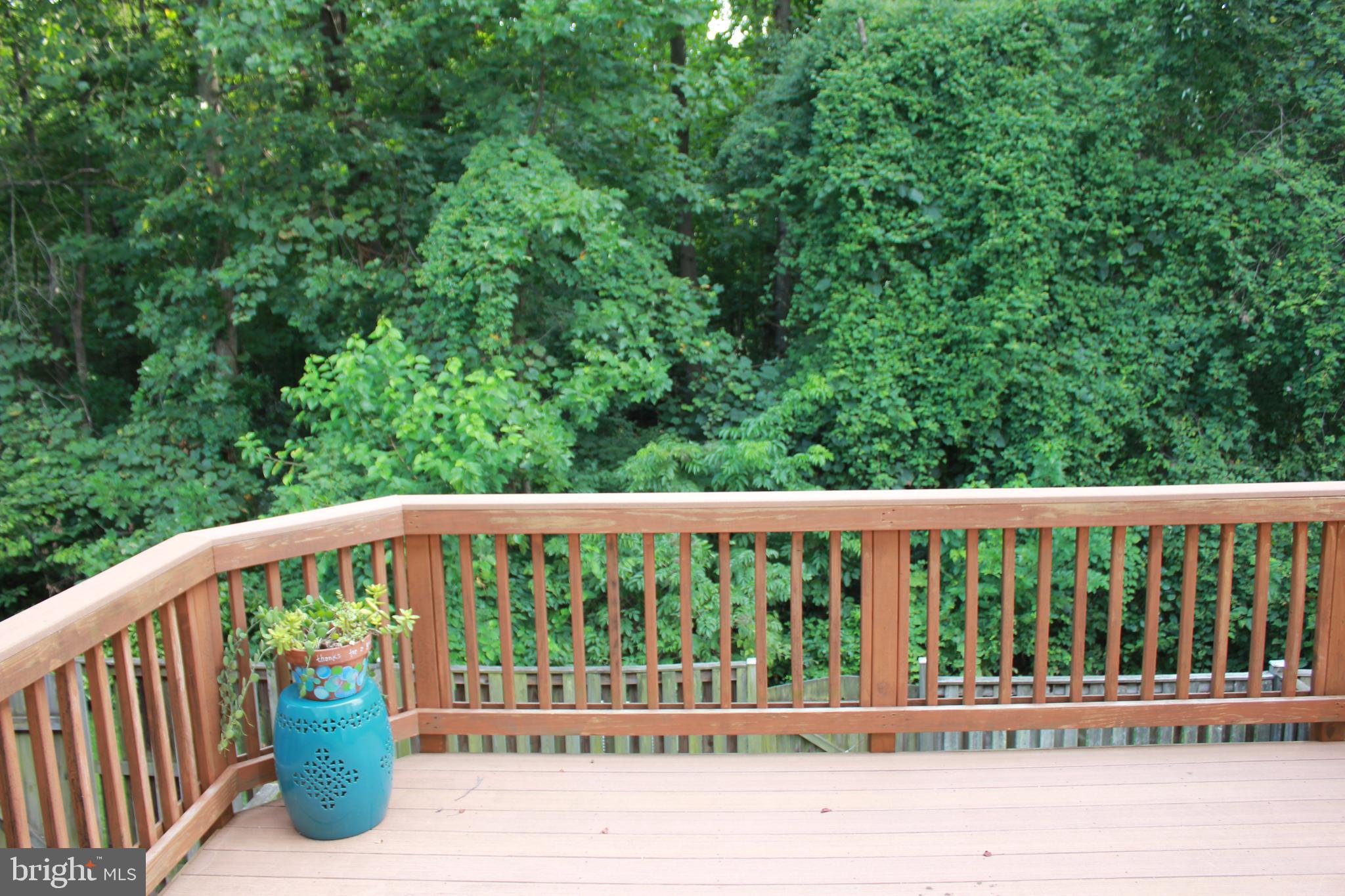 RUNNYMEADE - Residential Lease