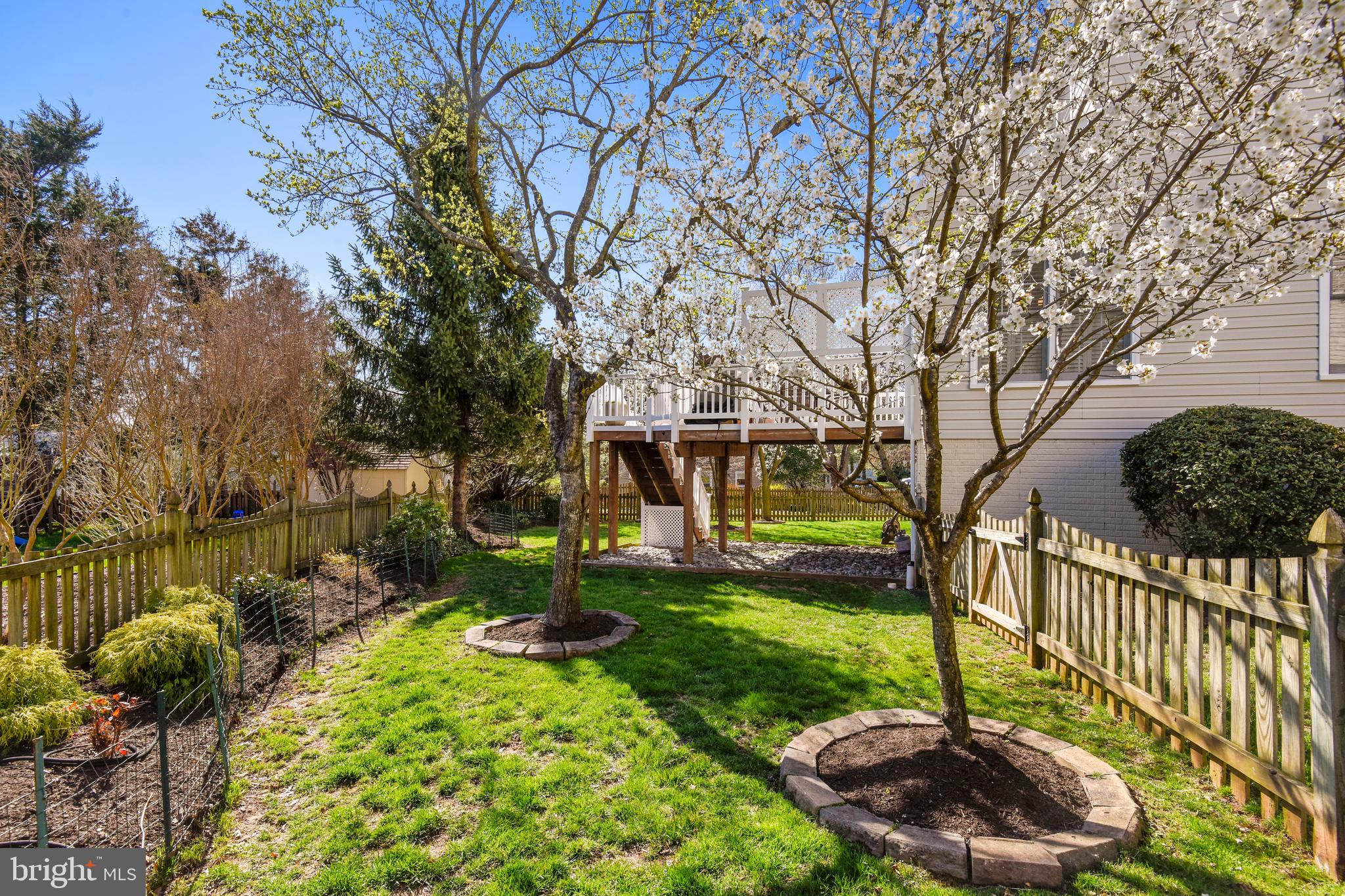 ROGER MACK COURT - Residential