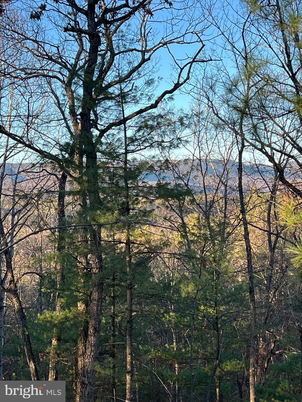 BRYCE  MOUNTAIN  RESORT - Residential