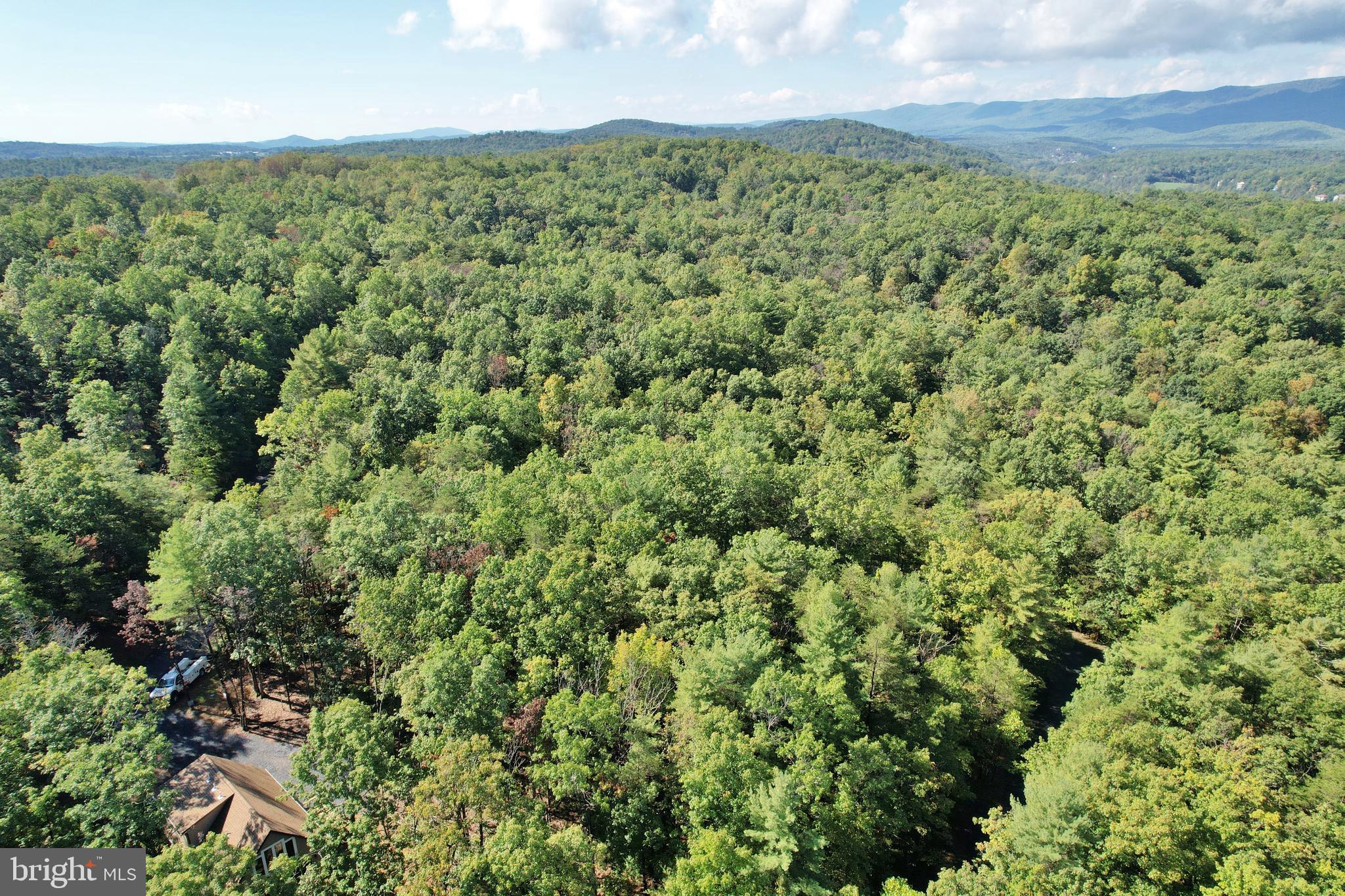 BRYCE  MOUNTAIN  RESORT - Residential