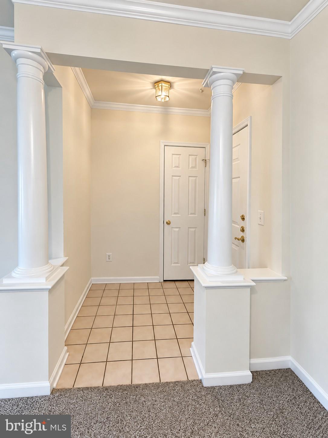 7000 FALLS REACH DRIVE 209