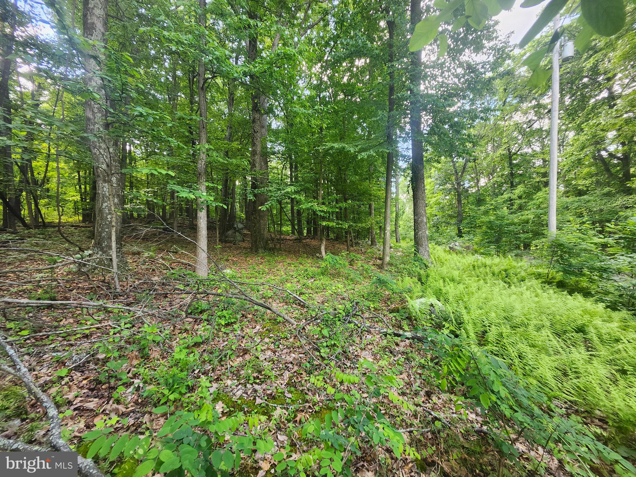 BUFFALO RIDGE RANCHETTES - Land