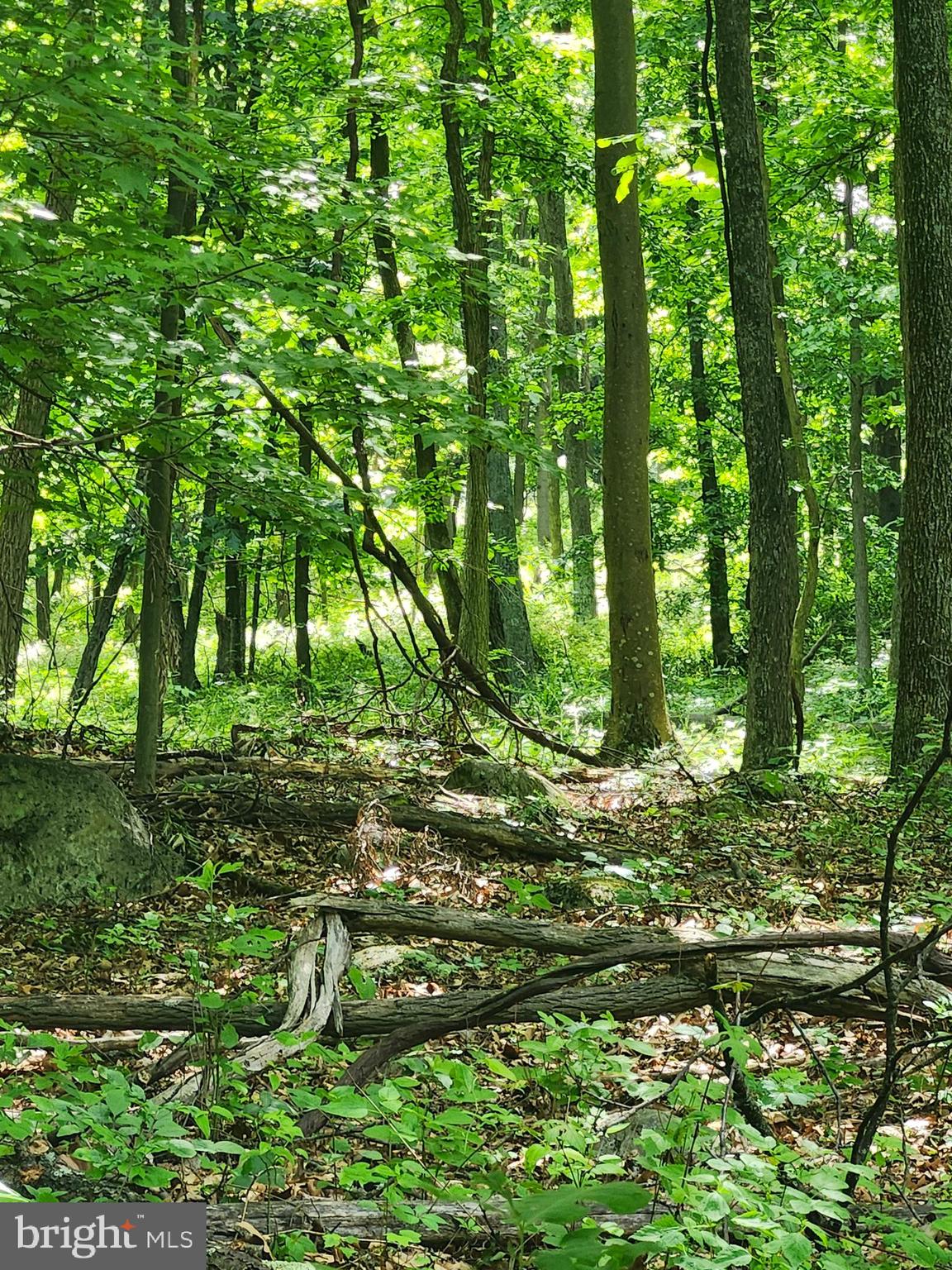 BUFFALO RIDGE RANCHETTES - Land