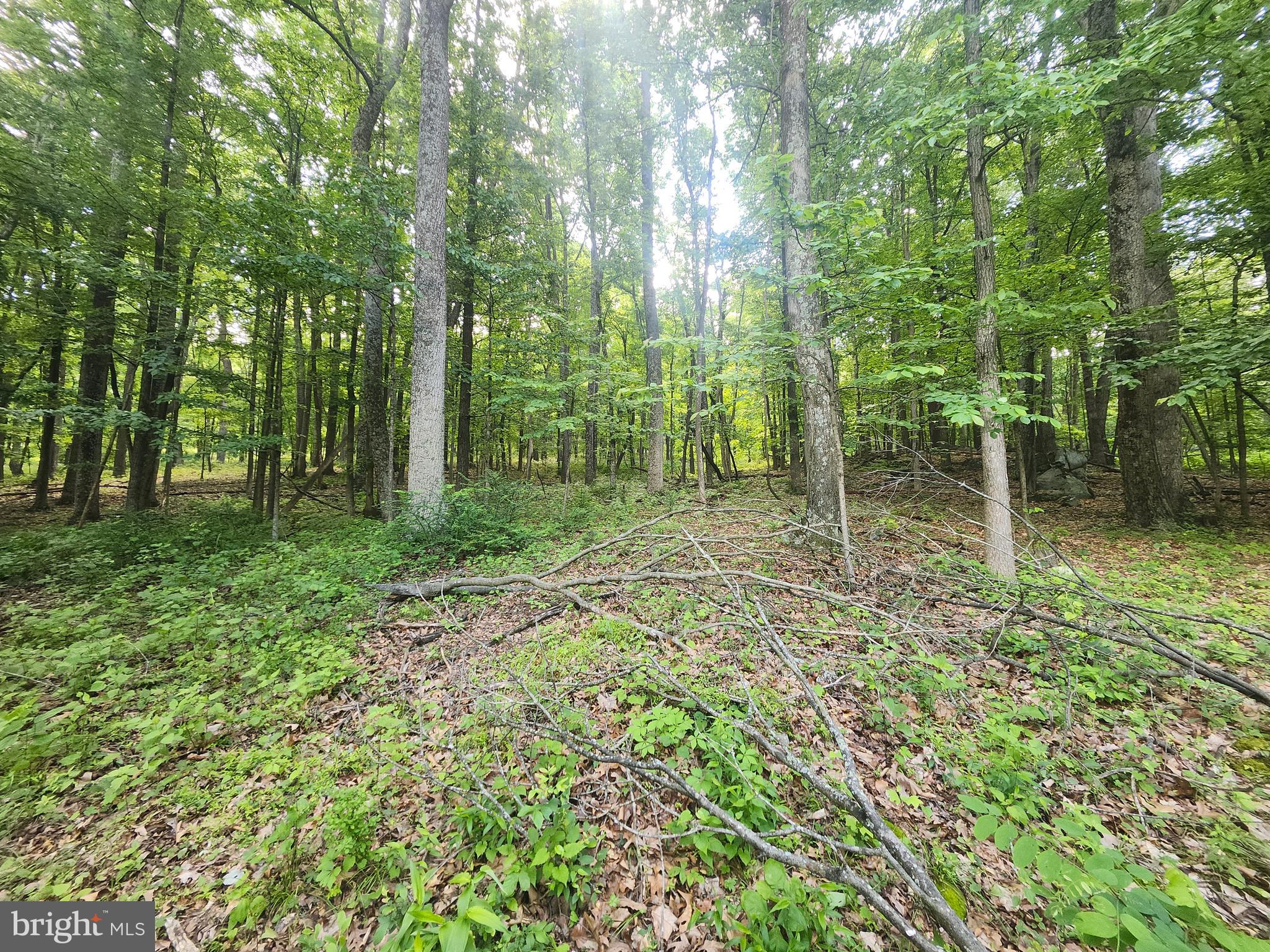 BUFFALO RIDGE RANCHETTES - Land