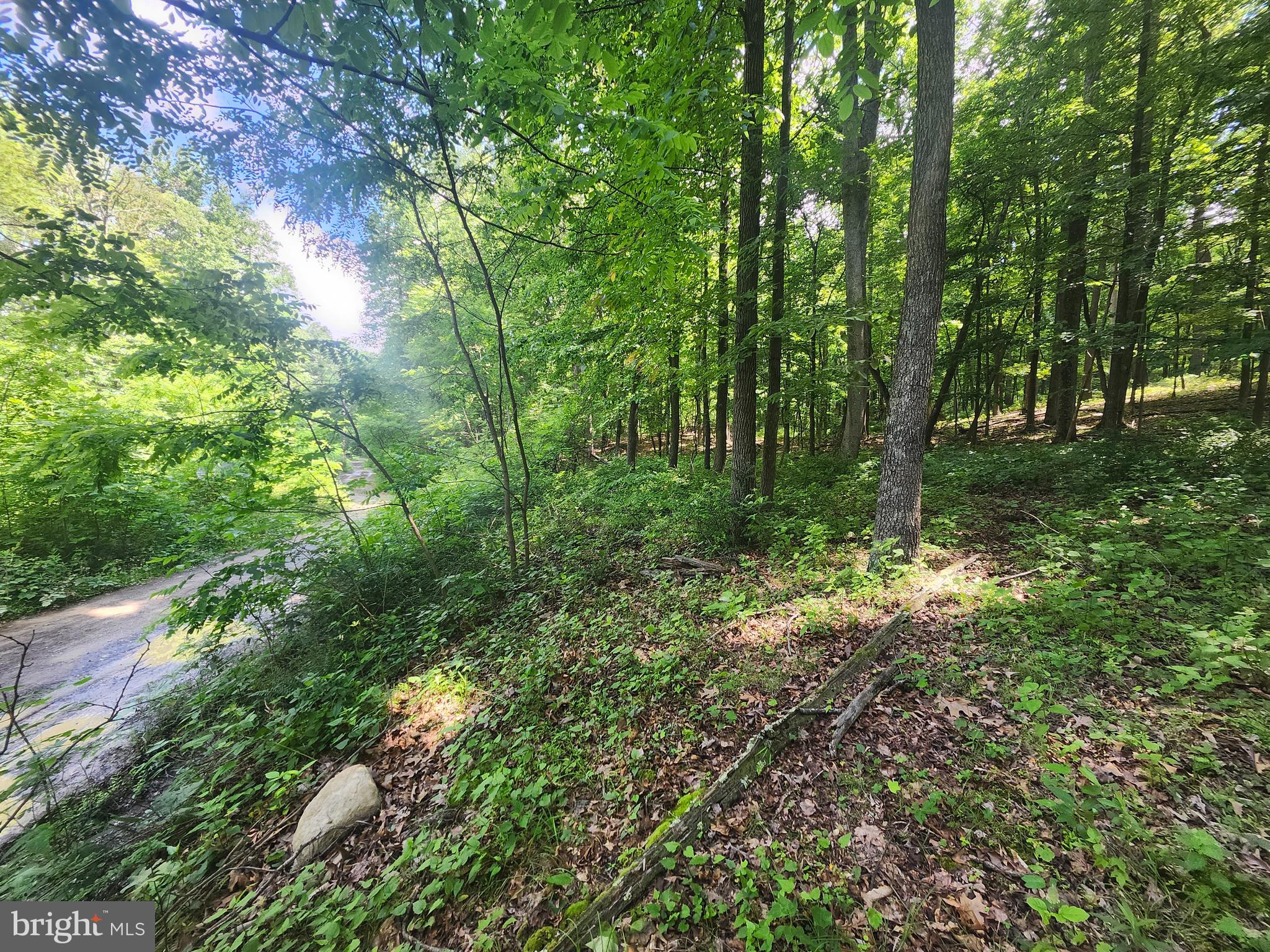 BUFFALO RIDGE RANCHETTES - Land