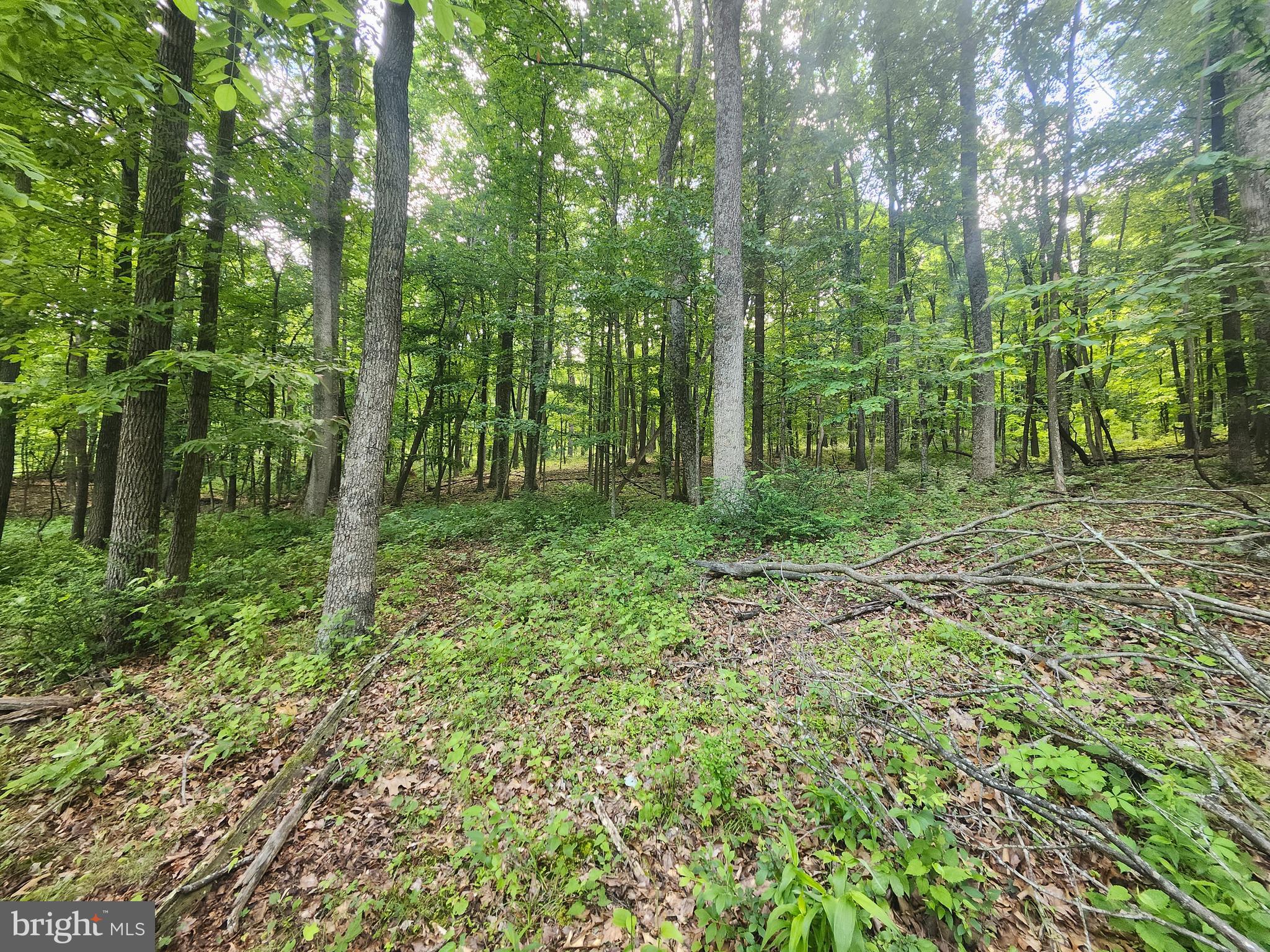 BUFFALO RIDGE RANCHETTES - Land