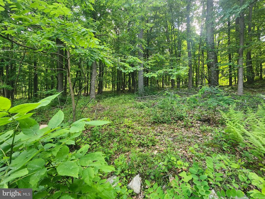 This charming 3-acre lot of land awaiting your vision.  A rural haven offering freedom, peace, and seclusion, while still being conveniently located near a multitude of outdoor adventures. Imagine waking up to the crisp mountain air, with the promise of fishing, floating, and hiking just moments away in the town of Capon Bridge!  Accessible yet private, this spacious lot lets you leave the hustle and bustle of city life behind and embrace the peace of rural living. Whether you dream of building a cozy cabin retreat or setting up your mobile home or camper for weekend getaways, the possibilities are open!  With flexible restrictions allowing for recreational use, this property is an ideal canvas for your imagination. And with its reasonable price, investing in this slice of West Virginia paradise is not just a dream but a tangible opportunity. Don't let this chance slip away – invest in WV land today!
ADJOINING LOT LOT #66 ( PARCEL ID NO. 14-1-24-59) WITH 3 ACRES ALSO FOR SALE (MLS# WVHS2004756   )