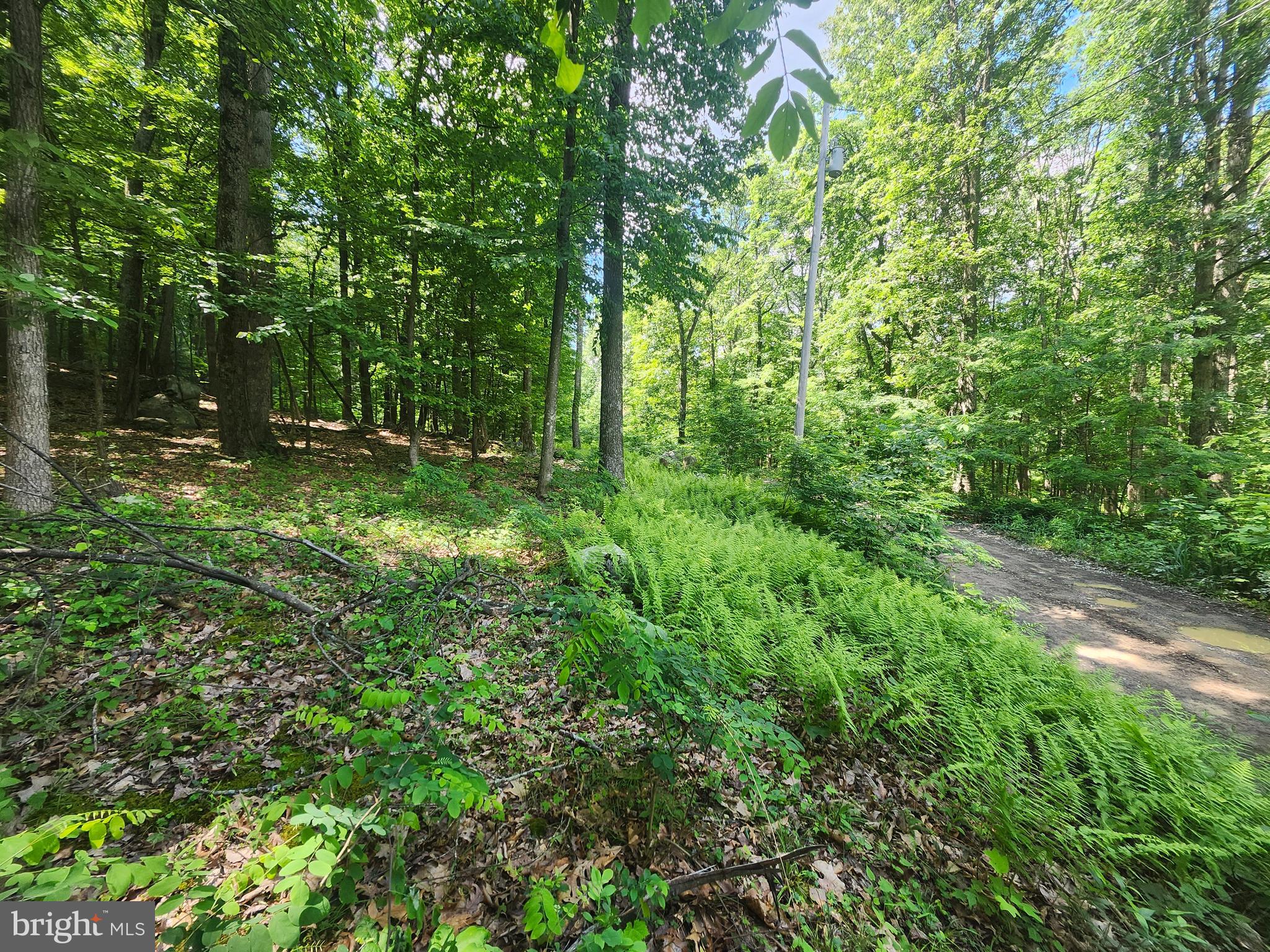 BUFFALO RIDGE RANCHETTES - Land