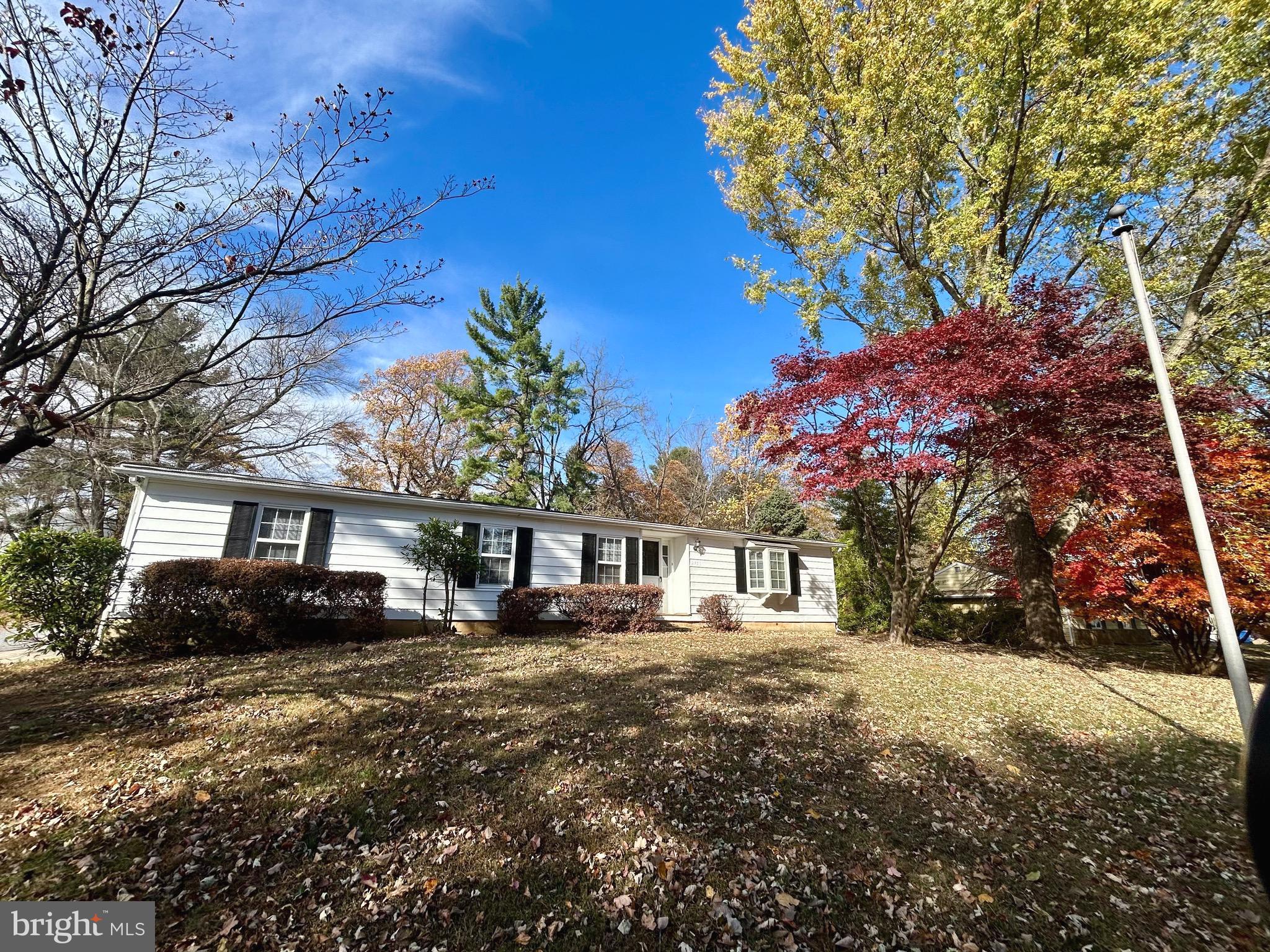 MARPLE - Residential Lease