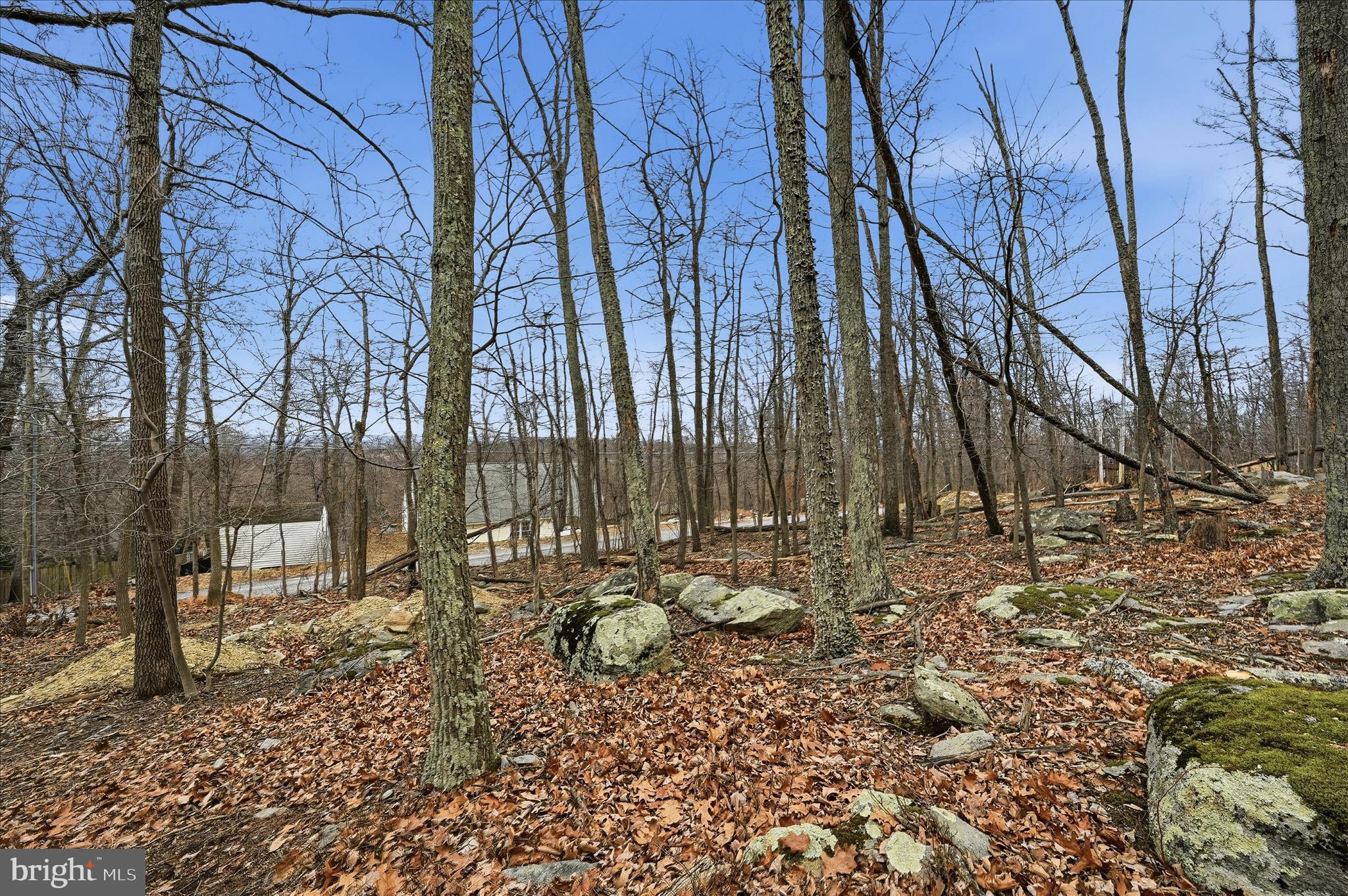 Lot #62 FAWN DRIVE