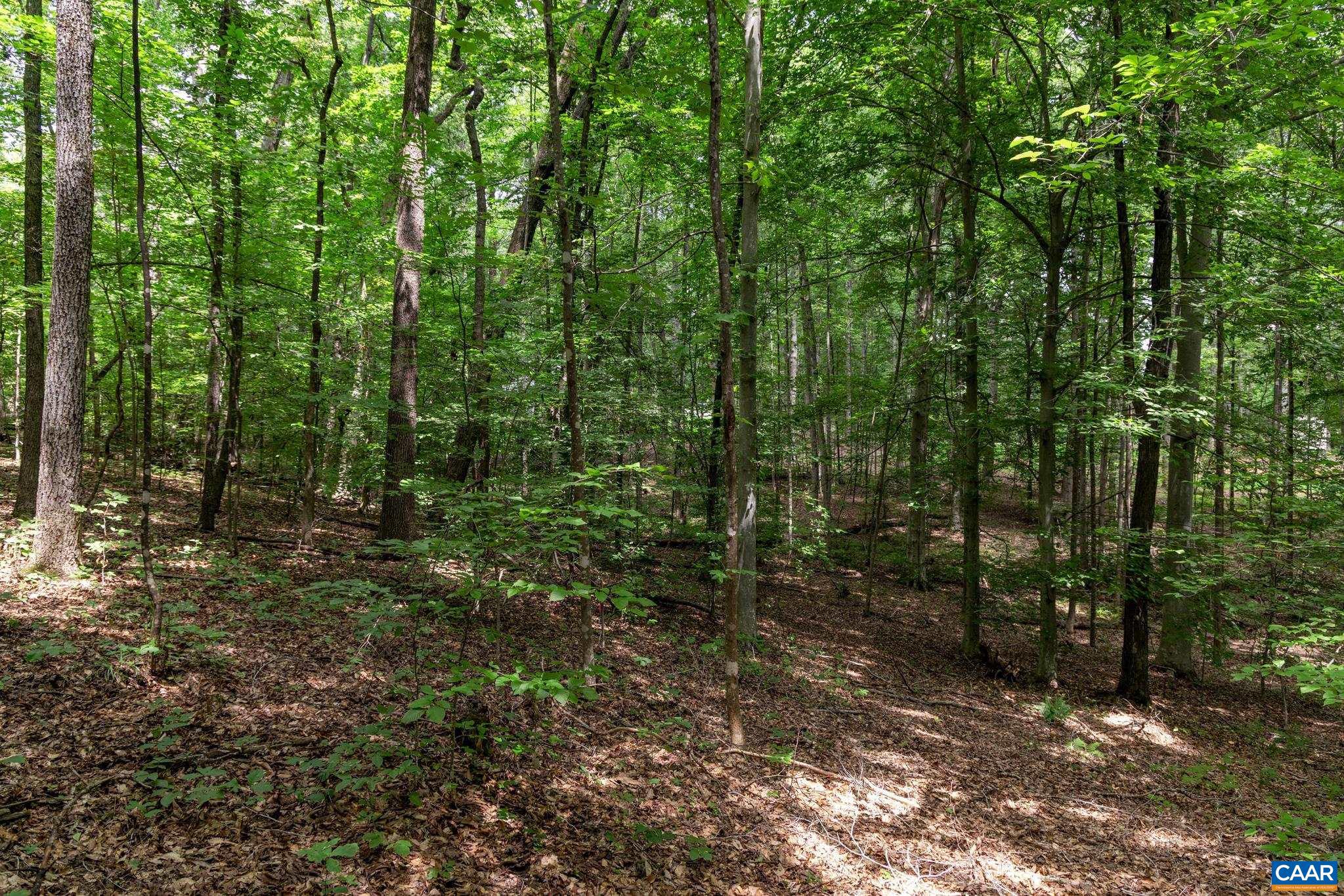 Lot 69 PALMER PL 69