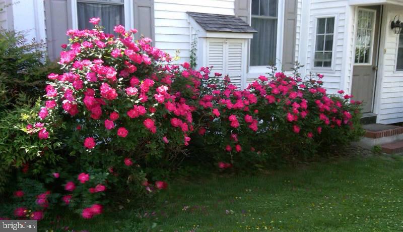 FEDERALSBURG - Residential