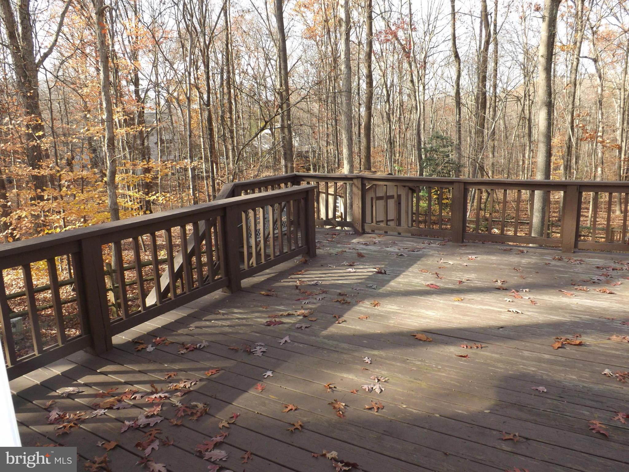 LAKE RIDGE - Residential Lease