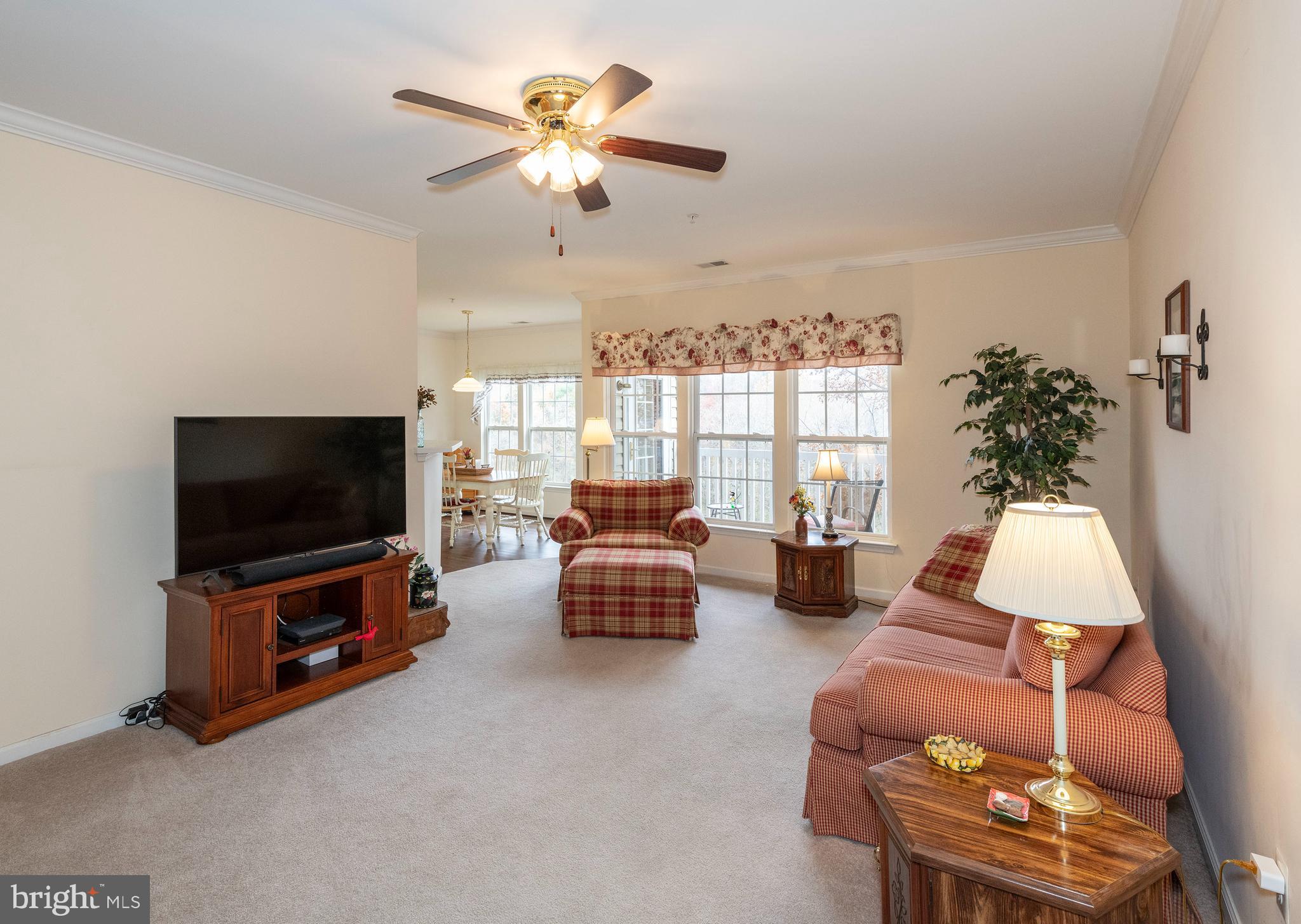 VILLAGE OF MILL RUN - Residential