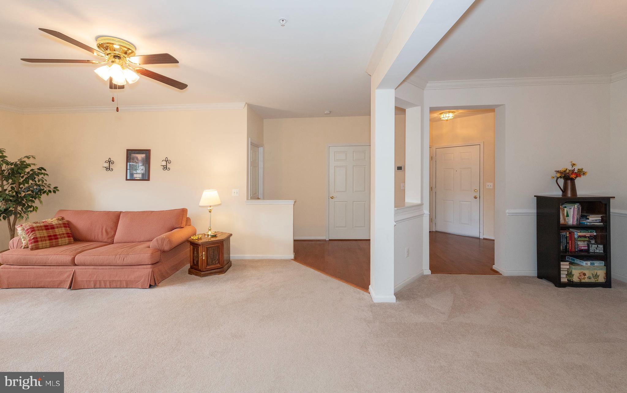 VILLAGE OF MILL RUN - Residential