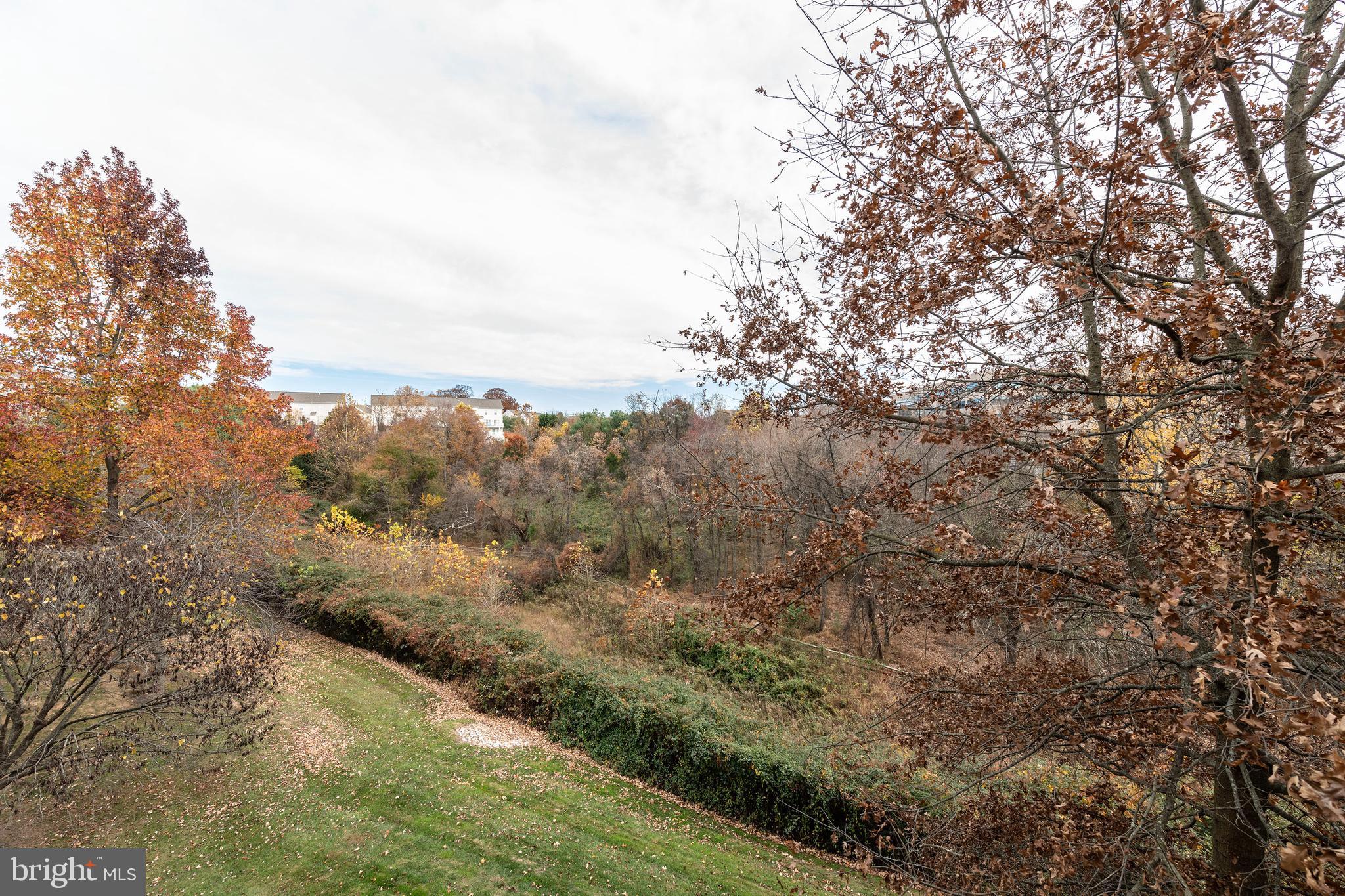 VILLAGE OF MILL RUN - Residential