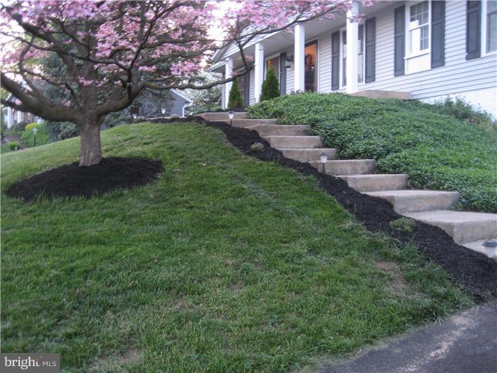 BRANDYWINE CHASE - Residential