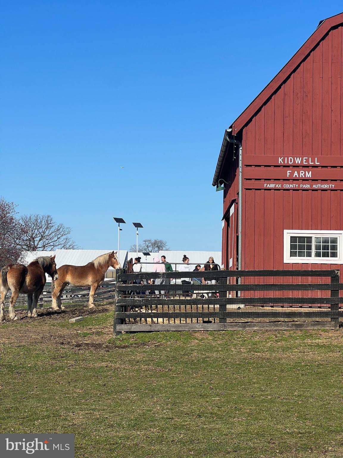 SYCAMORE LAKES - Residential