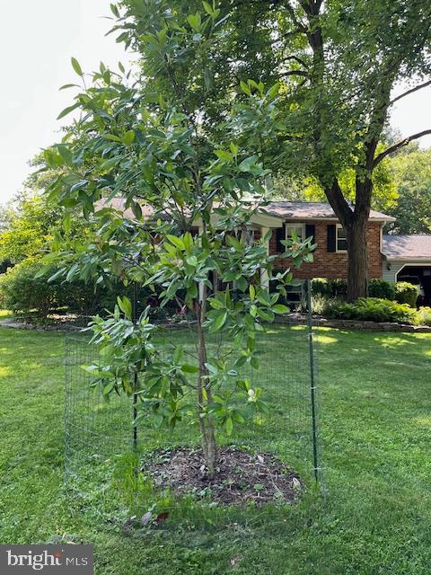 ALLVIEW ESTATES - Residential