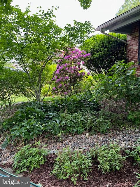 ALLVIEW ESTATES - Residential