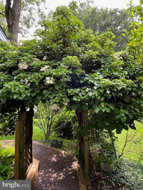 ALLVIEW ESTATES - Residential