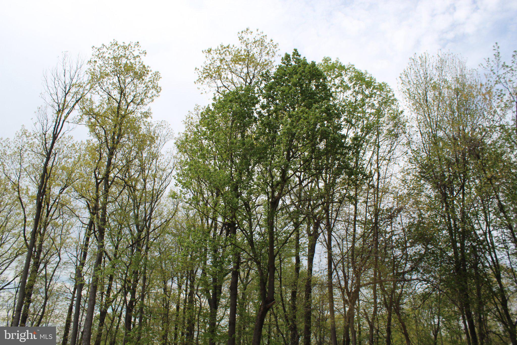 MANCHESTER ELECTION DISTRICT - Residential