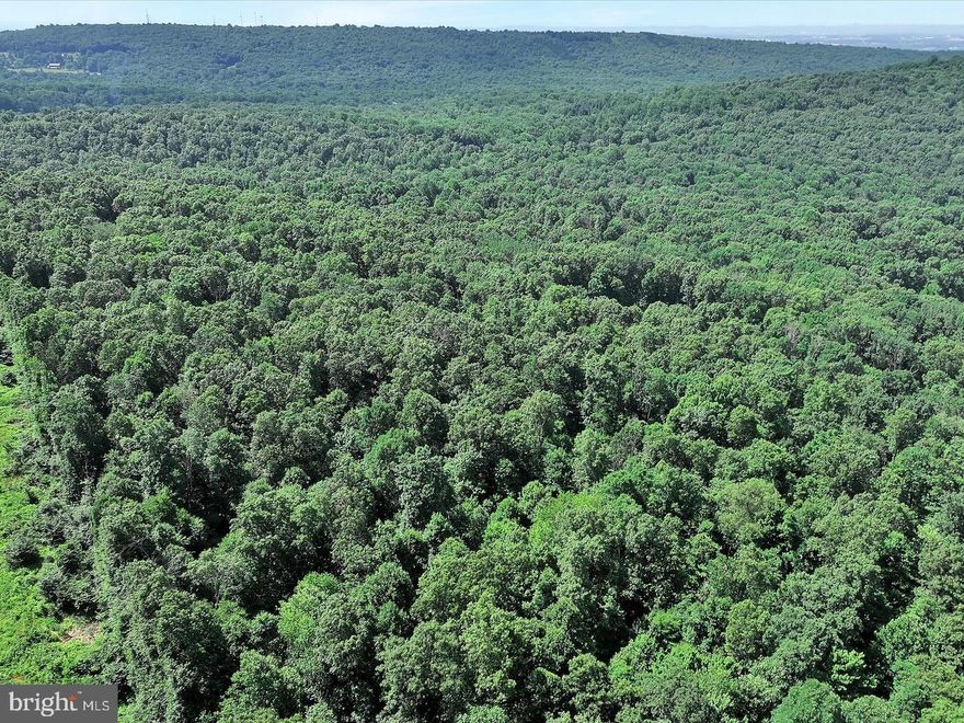 Public Auction Saturday September 14, 2024 @11:00am held at 484 Boyd St. Successful Bidder required a 10% non-refundable deposit. List price does not reflect final sales price. This will be auctioned 4th of 6 properties. *13.03 Acres Fully approved wooded building lot. Lot is improved with a driveway with access & Utility Easement Agreement for Lots 2 & 3 of Iron Valley Estates. Lot is perked and probed with electric, phone & cable to the site. Prime location for your dream home with privacy and seclusion. Cornwall-Lebanon Schools. Enrolled in Clean & Green. Do not overlook these rare & desirable lots approved for immediate building with the exception of an application for a zoning permit. This is a tremendous time and financial savings for the purchaser. Proximity to Routes 322, 419, 72 & PA turnpike, making it easy access to Lititz/Hershey/Harrisburg or Deck /Keller Bros & HIA Airports. All properties are on a routine logging program for best forestry management. Trees marked blue will be harvested by 12/31/24. Buyer can opt out of the logging contract for $2,000 per acre.