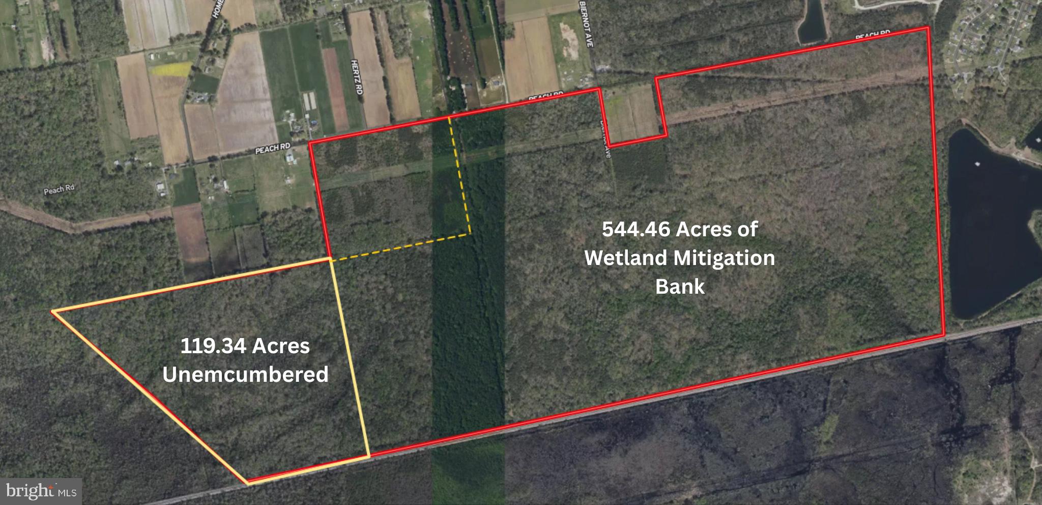 663.8 Acres PEACH ROAD
