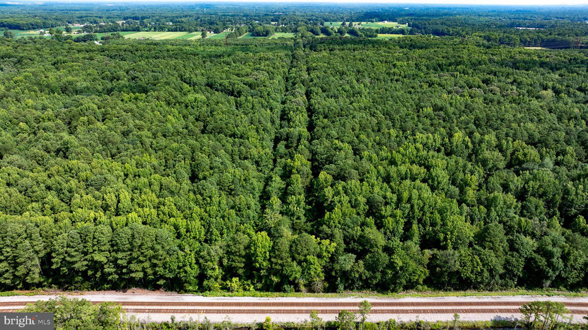 663.8 Acres PEACH ROAD