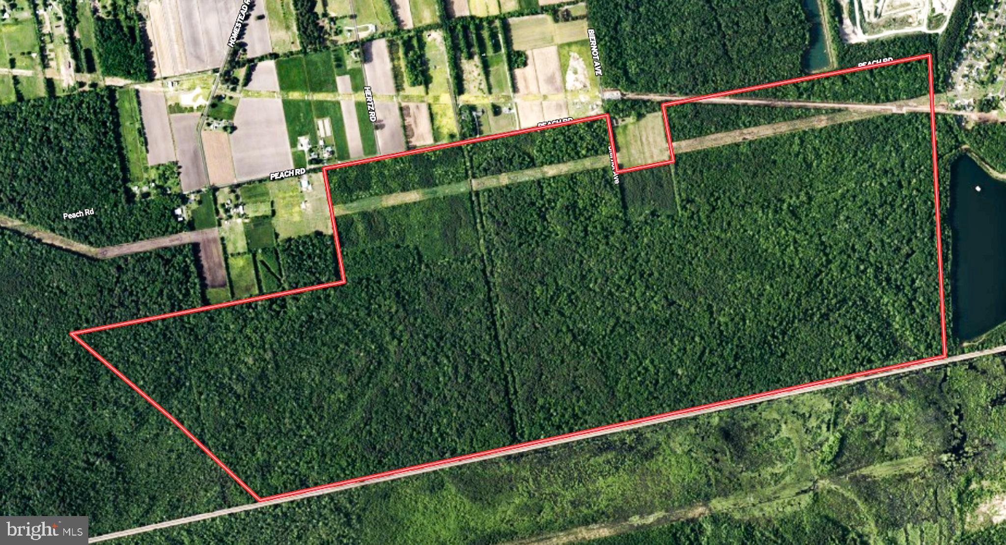 663.8 Acres PEACH ROAD