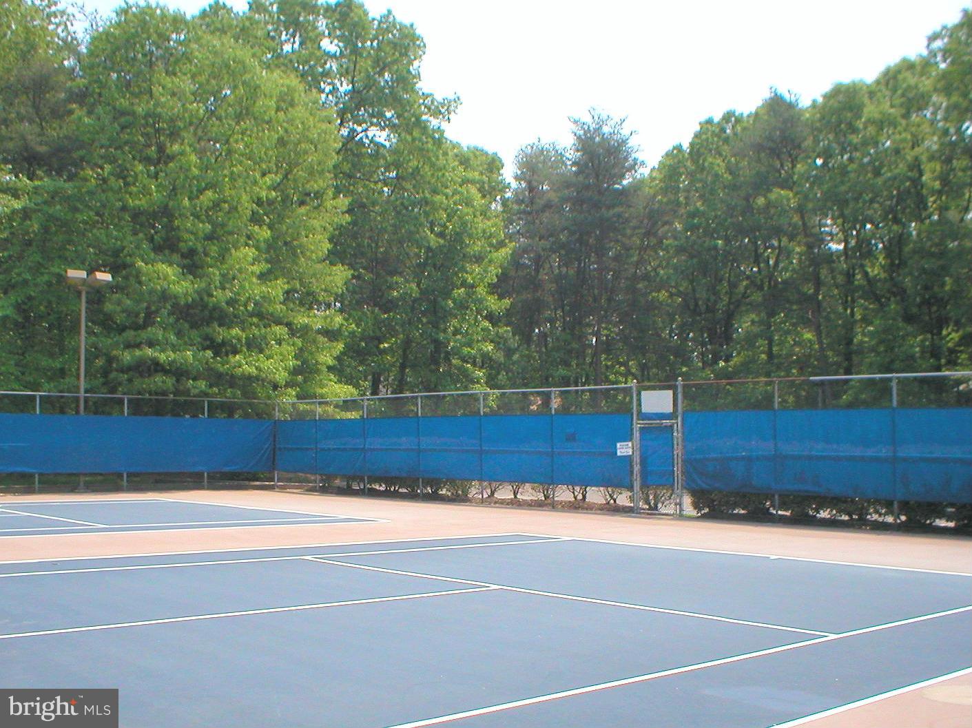 SHIPLEYS CHOICE - Residential