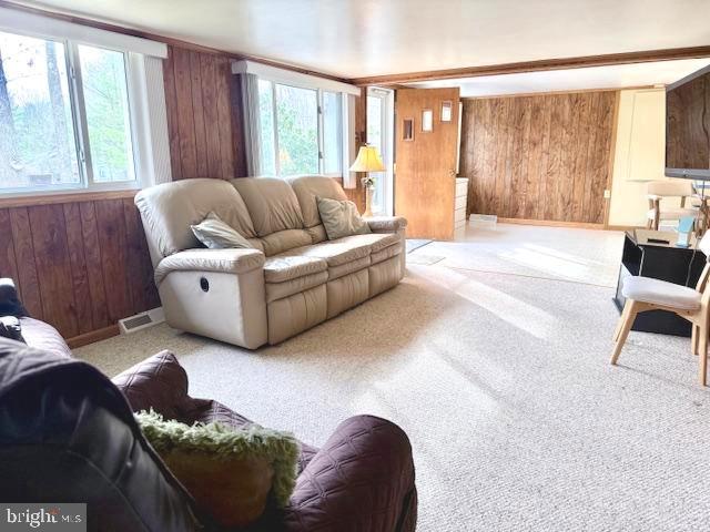 SKIPPERS POINT - Residential