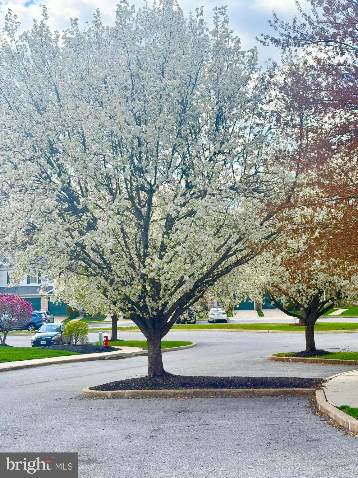 HAMILTON CT - Residential